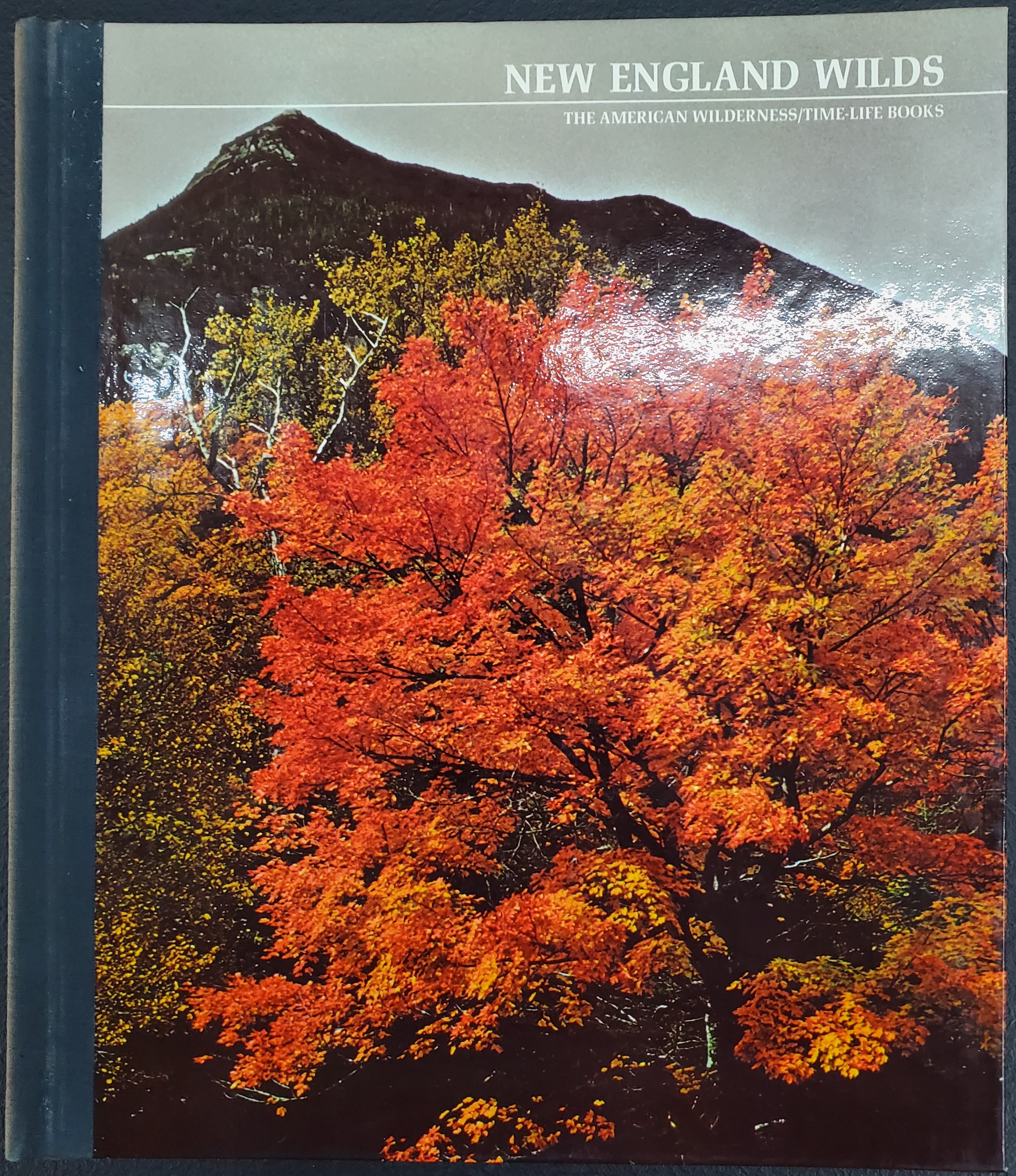 New England Wilds (The American Wilderness / Time-Life Books)