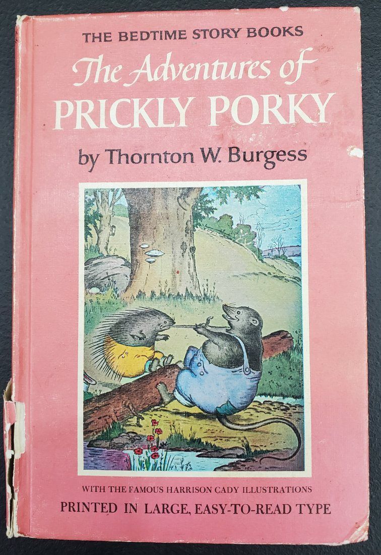 Prickly Porky